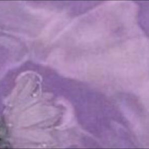 Meet your Posher, Janie